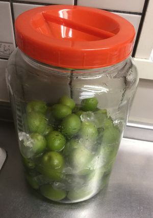 2015 梅酒(ラム酒使用)-レシピのメイン写真