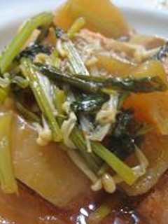 鳥と大根とカブのあったかコトコト煮-レシピのメイン写真