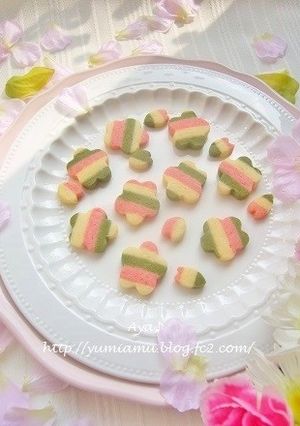春色♪ 3色ストライプクッキー-レシピのメイン写真