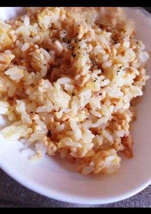 塩レモンと鳥ひき肉でアレンジ色々！-レシピのメイン写真
