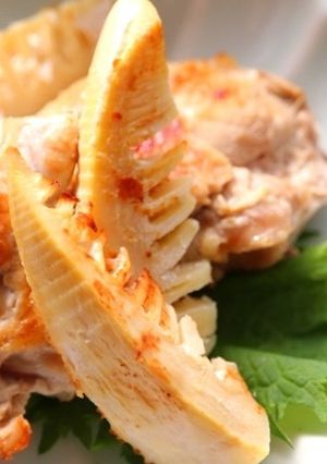 鶏肉とたけのこのヨーグルトグリル-レシピのメイン写真
