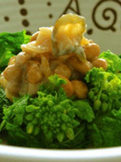 菜の花と曽我漬の納豆和え-レシピのメイン写真