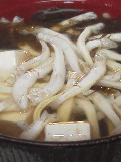 春☆シロウオ(素魚)のお吸い物-レシピのメイン写真