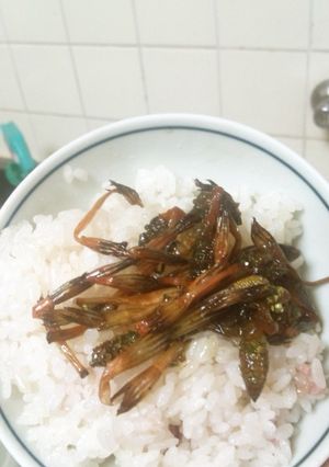 つくしの煮物。超簡単！-レシピのメイン写真