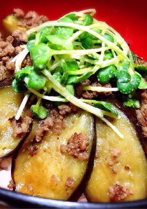 ✽茄子と挽き肉の簡単丼✽-レシピのメイン写真