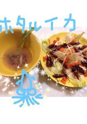蒸しレタス巻き☆ホタルイカ-レシピのメイン写真