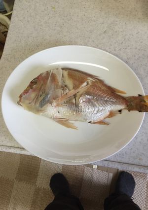簡単鯛の蒸し焼き-レシピのメイン写真