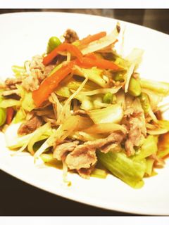 塩キャベツリメイク!肉野菜炒め-レシピのメイン写真