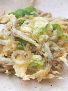イカナゴのかき揚げ-レシピのメイン写真