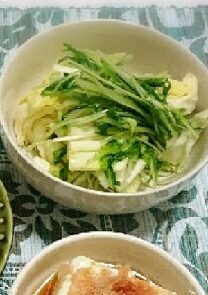 副菜♫キャベツで☆浅漬けサラダ☆-レシピのメイン写真