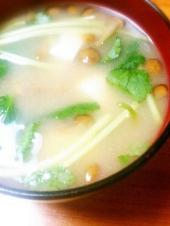 豆腐となめこと三つ葉の味噌汁-レシピのメイン写真