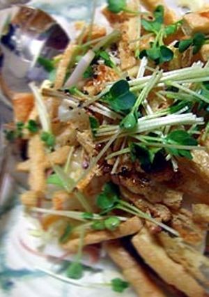 白菜のシャキシャキサラダ-レシピのメイン写真