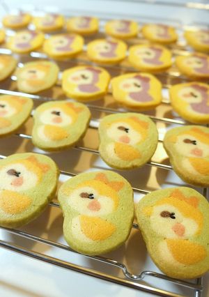 アイスボックスクッキー☆ことりちゃん♪-レシピのメイン写真