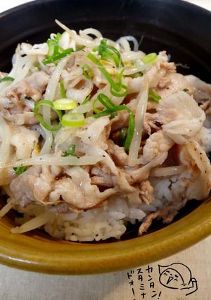 テケトー料理30★簡単！豚肉のネギ塩丼-レシピのメイン写真