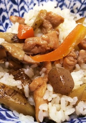 鶏肉の混ぜごはん-レシピのメイン写真