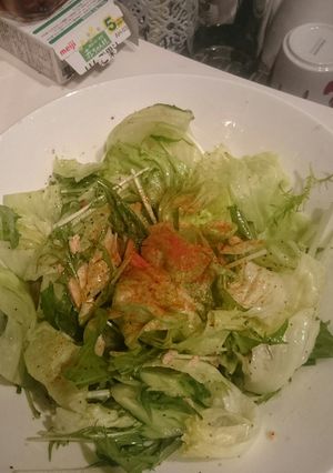 手作りドレッシングサラダ-レシピのメイン写真