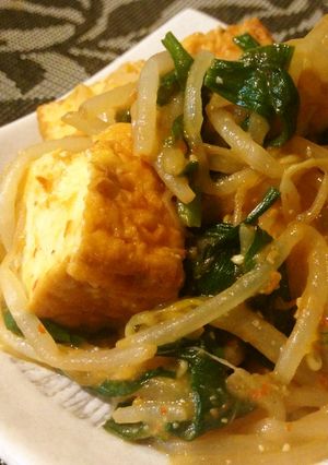 簡単&時短!もやしと厚揚げの豆板醤炒め♪-レシピのメイン写真
