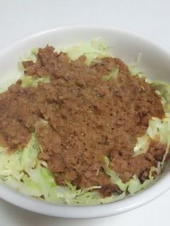 手抜き肉そぼろ丼-レシピのメイン写真