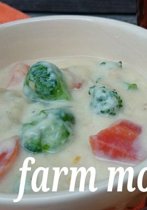 農園レシピ・芽キャベツのクリーム煮-レシピのメイン写真