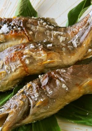 イワナの塩焼き-レシピのメイン写真