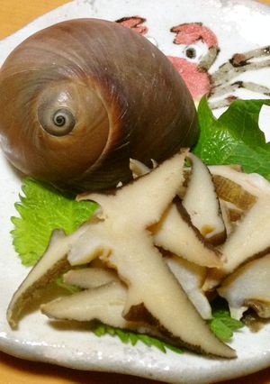 ツメタガイの刺身-レシピのメイン写真