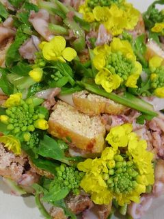小いか白菜の菜の花和え-レシピのメイン写真