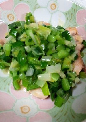 鶏肉とみどり野菜のソース-レシピのメイン写真