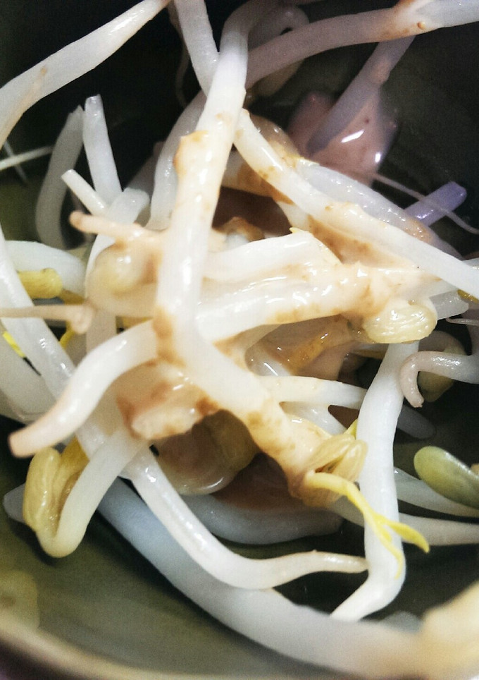 もやしのゴマどれ-レシピのメイン写真