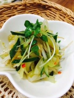 ☆もやしとクラゲの中華サラダ☆さっぱり♪-レシピのメイン写真