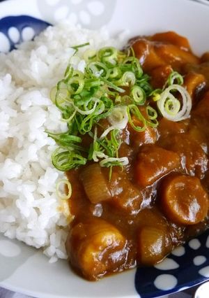 牛すじ煮リメイク★肉がなくても絶品カレー-レシピのメイン写真