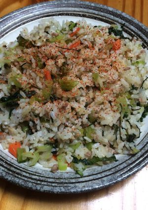 野沢菜チャーハン-レシピのメイン写真
