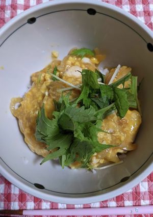 ふわふわとろ～り♪親子丼-レシピのメイン写真