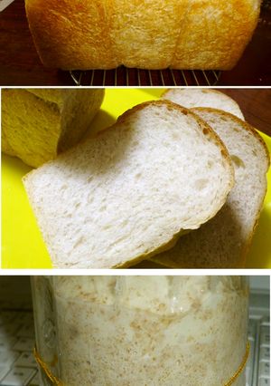焼き上がってからも熟成していく食パン-レシピのメイン写真