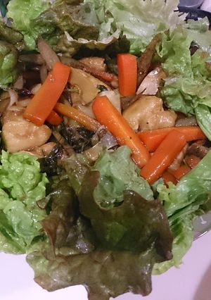 鶏むね肉とゴボウの甘辛蒸し煮-レシピのメイン写真