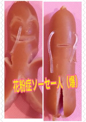 花粉症 ソーセー人-レシピのメイン写真