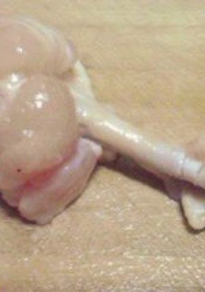 鶏手羽元チューリップのさばき方-レシピのメイン写真