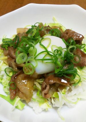 我が家の豚丼 温玉のせ♪-レシピのメイン写真