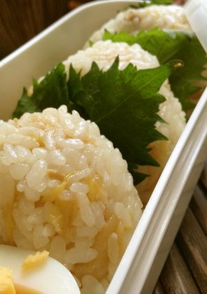 春キャベツと油揚げの混ぜご飯おにぎり-レシピのメイン写真