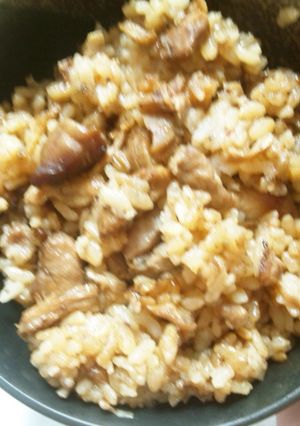 簡単！えのきと鳥の中華ごはん-レシピのメイン写真