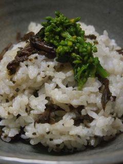 つくしの佃煮で、つくしご飯-レシピのメイン写真