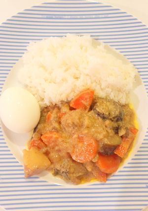 簡単に本場の味！ココナッツミルクカレー-レシピのメイン写真