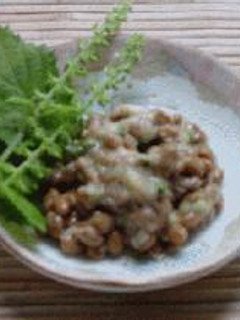 しその実納豆-レシピのメイン写真