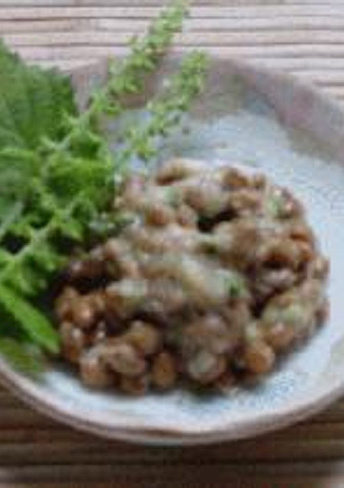 しその実納豆-レシピのメイン写真