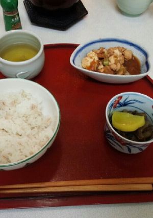 ノンオイル麻婆豆腐-レシピのメイン写真