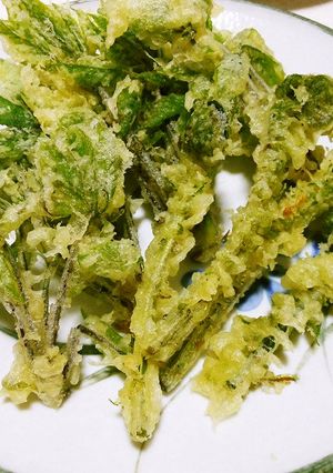 春の味☆こごみとこしあぶらの天ぷら-レシピのメイン写真