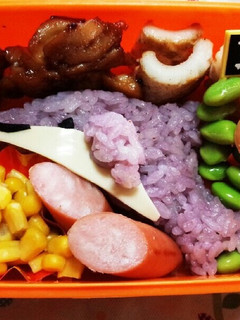 キャラ弁♪簡単イルカさん♪ 遠足 夏 海-レシピのメイン写真