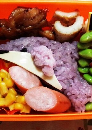 キャラ弁♪簡単イルカさん♪　遠足　夏　海-レシピのメイン写真
