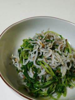 豆苗と釜揚げしらすのおひたし-レシピのメイン写真