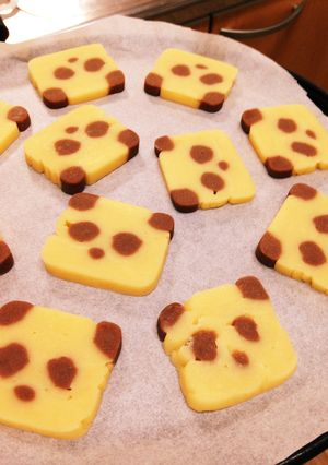 どうぶつクッキー-レシピのメイン写真
