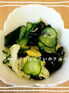 きゅうりと白菜のナムル風あえもの-レシピのメイン写真